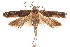  ( - CCDB-31101-H05)  @11 [ ] CreativeCommons - Attribution (2018) CBG Photography Group Centre for Biodiversity Genomics