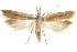  ( - CCDB-31102-E03)  @11 [ ] CreativeCommons - Attribution (2018) CBG Photography Group Centre for Biodiversity Genomics