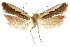  ( - CCDB-31102-E07)  @12 [ ] CreativeCommons - Attribution (2018) CBG Photography Group Centre for Biodiversity Genomics