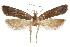  ( - CCDB-31102-F02)  @13 [ ] CreativeCommons - Attribution (2018) CBG Photography Group Centre for Biodiversity Genomics