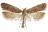  ( - CCDB-31102-F03)  @11 [ ] CreativeCommons - Attribution (2018) CBG Photography Group Centre for Biodiversity Genomics