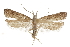  ( - CCDB-31102-H08)  @13 [ ] CreativeCommons - Attribution (2018) CBG Photography Group Centre for Biodiversity Genomics