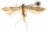  ( - CCDB-31103-A06)  @11 [ ] CreativeCommons - Attribution (2018) CBG Photography Group Centre for Biodiversity Genomics