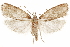  ( - CCDB-31103-D07)  @11 [ ] CreativeCommons - Attribution (2018) CBG Photography Group Centre for Biodiversity Genomics