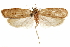 ( - CCDB-31103-D10)  @11 [ ] CreativeCommons - Attribution (2018) CBG Photography Group Centre for Biodiversity Genomics