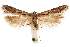 ( - CCDB-31103-G04)  @11 [ ] CreativeCommons - Attribution (2018) CBG Photography Group Centre for Biodiversity Genomics
