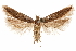  ( - CCDB-31103-H12)  @14 [ ] CreativeCommons - Attribution (2018) CBG Photography Group Centre for Biodiversity Genomics