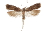  ( - CCDB-31104-A09)  @14 [ ] CreativeCommons - Attribution (2018) CBG Photography Group Centre for Biodiversity Genomics
