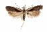  ( - CCDB-31104-B07)  @11 [ ] CreativeCommons - Attribution (2018) CBG Photography Group Centre for Biodiversity Genomics