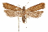  ( - CCDB-31104-C05)  @11 [ ] CreativeCommons - Attribution (2018) CBG Photography Group Centre for Biodiversity Genomics