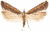  ( - CCDB-31104-D06)  @11 [ ] CreativeCommons - Attribution (2018) CBG Photography Group Centre for Biodiversity Genomics