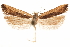  ( - CCDB-31104-D07)  @13 [ ] CreativeCommons - Attribution (2018) CBG Photography Group Centre for Biodiversity Genomics