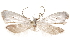  ( - CCDB-31442-E07)  @13 [ ] CreativeCommons - Attribution (2018) CBG Photography Group Centre for Biodiversity Genomics