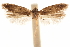  ( - CCDB-31541-F04)  @11 [ ] CreativeCommons - Attribution (2018) CBG Photography Group Centre for Biodiversity Genomics