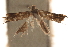  ( - CCDB-31541-G02)  @11 [ ] CreativeCommons - Attribution (2018) CBG Photography Group Centre for Biodiversity Genomics