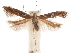  ( - CCDB-31542-B11)  @11 [ ] CreativeCommons - Attribution (2018) CBG Photography Group Centre for Biodiversity Genomics