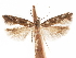  ( - CCDB-31542-C03)  @11 [ ] CreativeCommons - Attribution (2018) CBG Photography Group Centre for Biodiversity Genomics