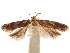  ( - CCDB-31542-D04)  @11 [ ] CreativeCommons - Attribution (2018) CBG Photography Group Centre for Biodiversity Genomics