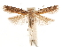  ( - CCDB-31542-E04)  @11 [ ] CreativeCommons - Attribution (2018) CBG Photography Group Centre for Biodiversity Genomics