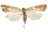  ( - CCDB-31543-H10)  @11 [ ] CreativeCommons - Attribution (2018) CBG Photography Group Centre for Biodiversity Genomics