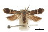  ( - CCDB-30454-D04)  @11 [ ] CreativeCommons - Attribution (2018) CBG Photography Group Centre for Biodiversity Genomics