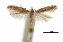  ( - CCDB-30454-E02)  @11 [ ] CreativeCommons - Attribution (2018) CBG Photography Group Centre for Biodiversity Genomics