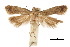  ( - CCDB-30454-F02)  @11 [ ] CreativeCommons - Attribution (2018) CBG Photography Group Centre for Biodiversity Genomics
