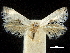  ( - CCDB-30455-D03)  @11 [ ] CreativeCommons - Attribution (2018) CBG Photography Group Centre for Biodiversity Genomics