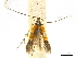  ( - CCDB-30455-H09)  @11 [ ] CreativeCommons - Attribution (2018) CBG Photography Group Centre for Biodiversity Genomics