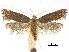  ( - CCDB-30456-B07)  @14 [ ] CreativeCommons - Attribution (2018) CBG Photography Group Centre for Biodiversity Genomics
