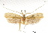  ( - CCDB-30456-B11)  @11 [ ] CreativeCommons - Attribution (2018) CBG Photography Group Centre for Biodiversity Genomics