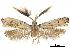  ( - CCDB-30456-D02)  @11 [ ] CreativeCommons - Attribution (2018) CBG Photography Group Centre for Biodiversity Genomics