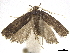  ( - CCDB-30456-E02)  @11 [ ] CreativeCommons - Attribution (2018) CBG Photography Group Centre for Biodiversity Genomics