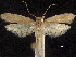  ( - CCDB-30456-F11)  @14 [ ] CreativeCommons - Attribution (2018) CBG Photography Group Centre for Biodiversity Genomics