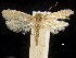  ( - CCDB-30456-F12)  @14 [ ] CreativeCommons - Attribution (2018) CBG Photography Group Centre for Biodiversity Genomics