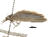  ( - CCDB-30456-H10)  @11 [ ] CreativeCommons - Attribution (2018) CBG Photography Group Centre for Biodiversity Genomics