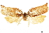  ( - CCDB-30457-B05)  @12 [ ] CreativeCommons - Attribution (2019) CBG Photography Group Centre for Biodiversity Genomics