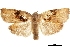  ( - CCDB-30457-B10)  @11 [ ] CreativeCommons - Attribution (2019) CBG Photography Group Centre for Biodiversity Genomics
