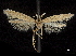  ( - CCDB-30457-G12)  @11 [ ] CreativeCommons - Attribution (2019) CBG Photography Group Centre for Biodiversity Genomics
