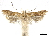  ( - CCDB-30457-H11)  @11 [ ] CreativeCommons - Attribution (2019) CBG Photography Group Centre for Biodiversity Genomics