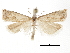  ( - CCDB-30819-B01)  @11 [ ] CreativeCommons - Attribution (2018) CBG Photography Group Centre for Biodiversity Genomics