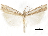  ( - CCDB-30819-B11)  @11 [ ] CreativeCommons - Attribution (2018) CBG Photography Group Centre for Biodiversity Genomics