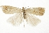  ( - CCDB-30819-C09)  @11 [ ] CreativeCommons - Attribution (2018) CBG Photography Group Centre for Biodiversity Genomics