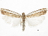  ( - CCDB-30819-E07)  @11 [ ] CreativeCommons - Attribution (2018) CBG Photography Group Centre for Biodiversity Genomics