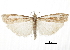  ( - CCDB-30819-E09)  @11 [ ] CreativeCommons - Attribution (2018) CBG Photography Group Centre for Biodiversity Genomics