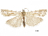  ( - CCDB-30819-F09)  @11 [ ] CreativeCommons - Attribution (2018) CBG Photography Group Centre for Biodiversity Genomics