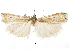  ( - CCDB-30819-G01)  @11 [ ] CreativeCommons - Attribution (2018) CBG Photography Group Centre for Biodiversity Genomics