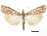  ( - CCDB-30819-G02)  @11 [ ] CreativeCommons - Attribution (2018) CBG Photography Group Centre for Biodiversity Genomics