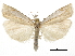  ( - CCDB-30819-G04)  @11 [ ] CreativeCommons - Attribution (2018) CBG Photography Group Centre for Biodiversity Genomics