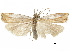 ( - CCDB-30819-G05)  @11 [ ] CreativeCommons - Attribution (2018) CBG Photography Group Centre for Biodiversity Genomics